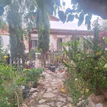 Nyaraló Ychudi