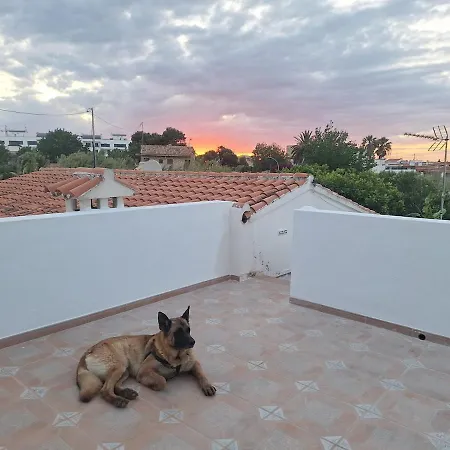 Ychudi * Denia